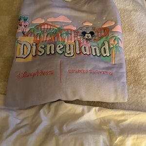 Disney Stoney clover lavender sweatshirt!